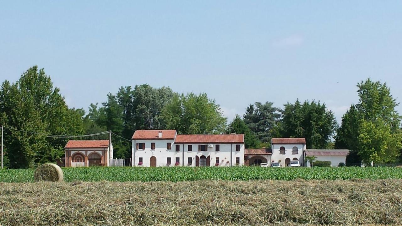 Bed and Breakfast La Casa Delle Rondini Roncoferraro Exterior foto